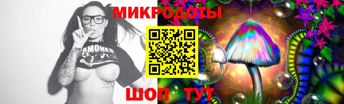 Псилоцибиновые грибы Psilocybine cubensis  Вход с VPN  Белорецк 